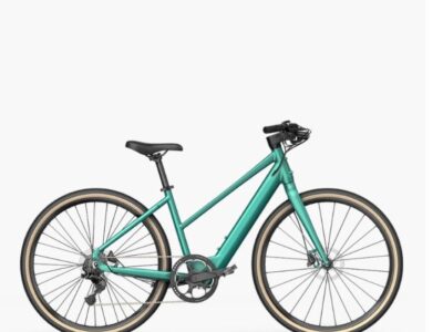 FIIDO C22 GRAVEL E-BIKE