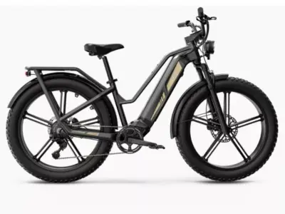 FIIDO TITAN TOURING BIKE E-BIKE - GREY